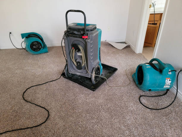 Best Water damage cleanup near me  in Beckett, NJ