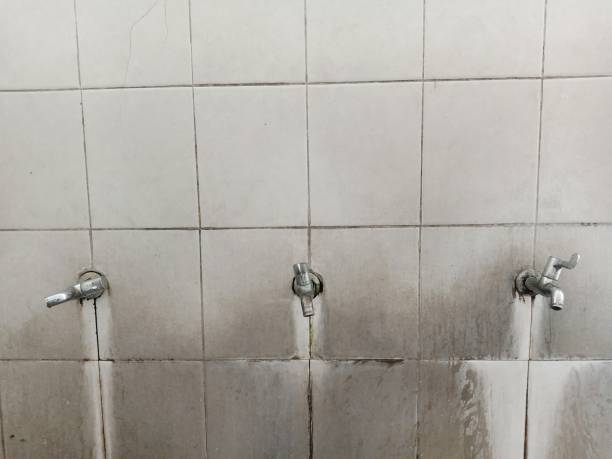 Best Basement water damage restoration  in Beckett, NJ