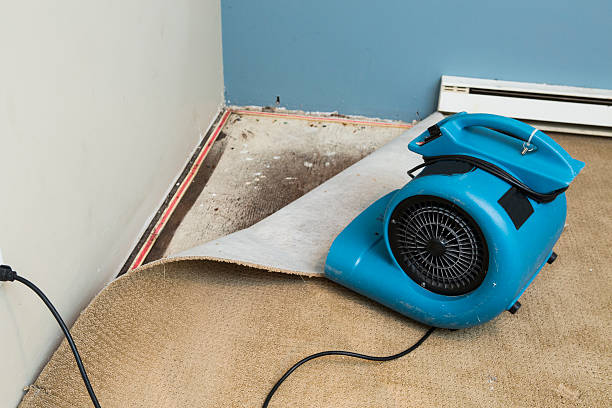 Best Local water damage restoration  in Beckett, NJ
